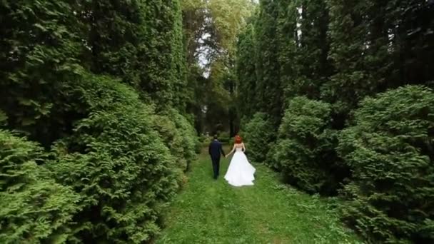 Sposa e sposi mani vanno insieme — Video Stock