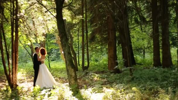 Bruid en bruidegom omarmen in bos — Stockvideo