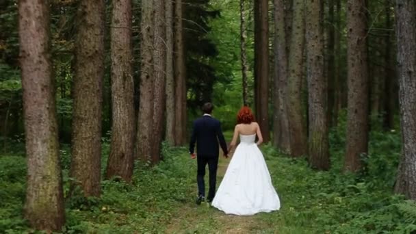 Novia y novio van a través del bosque — Vídeos de Stock