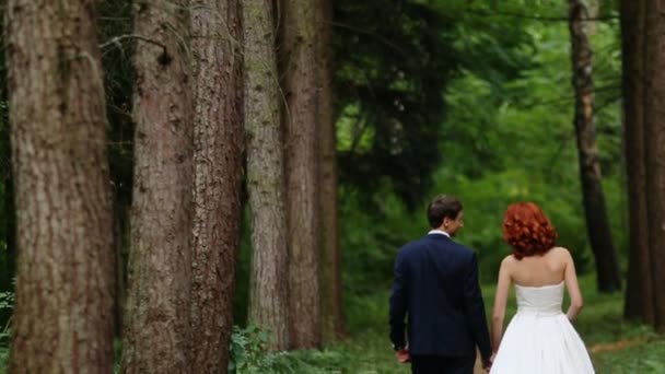 Bruden och brudgummen håller hand gå genom skogen — Stockvideo