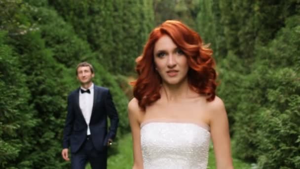 Bride and groom are among fir trees closeup — Stock Video