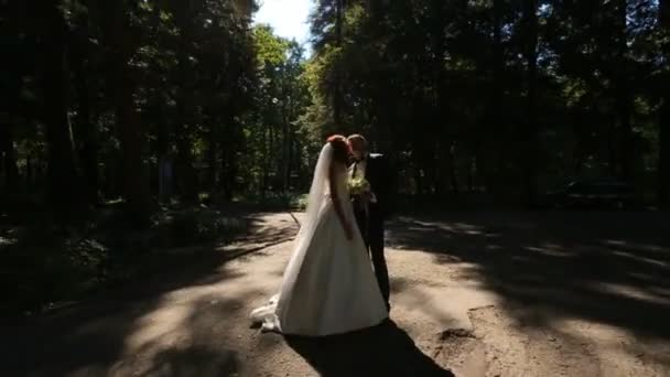Пара целуется на фоне деревьев — стоковое видео
