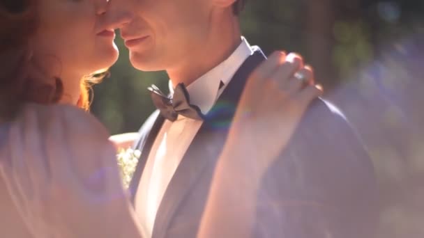 Mariée et marié s'embrassent dans une allée ensoleillée du parc .