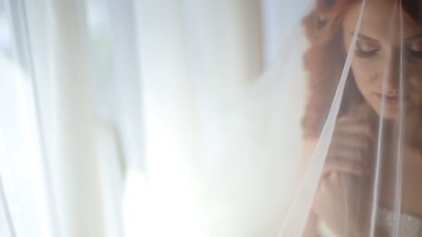 Retrato de bela noiva jovem sob véu nupcial . — Vídeo de Stock