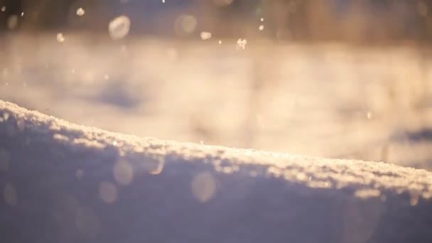 Neve rasa caindo, profundidade de campo rasa — Vídeo de Stock