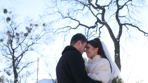 Nyligen gift par Kyssar på vintern — Stockvideo