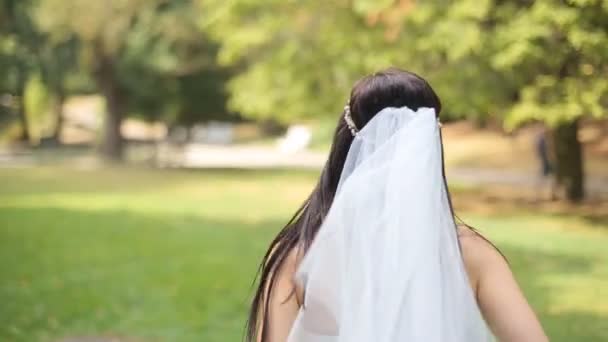 Novia en vestido de novia caminando sobre hierba en un día ventoso — Vídeos de Stock