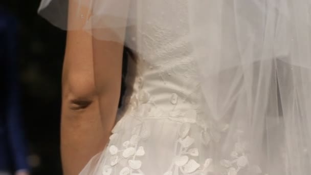 Sposa e sposo si abbracciano in un parco soleggiato — Video Stock