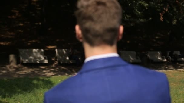 Sposa e sposo si abbracciano in un parco soleggiato — Video Stock