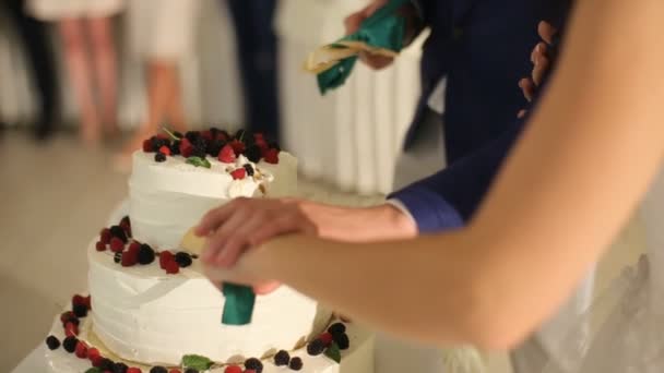 A noiva e o noivo cortam a faca do bolo de casamento, podem ver os recém-casados mãos noiva corta o bolo, o noivo ajuda — Vídeo de Stock