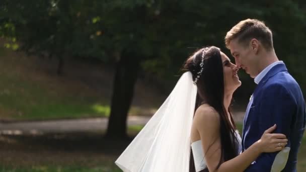 Sposa e sposo si abbracciano in un parco soleggiato — Video Stock