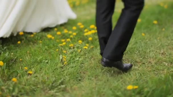 Жених и невеста идут вместе по цветочному полю — стоковое видео