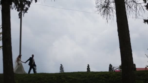 Bräutigam nimmt Braut auf die Hand und trägt sie auf Wiese gegen den Himmel — Stockvideo