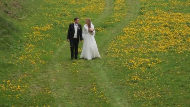 Braut und Bräutigam gehen gemeinsam in Blumenfeld. — Stockvideo