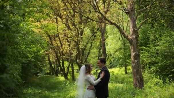 Passeggiate sposa nel bosco, tramonto e foresta. Bella coppia in un giorno soleggiato . — Video Stock