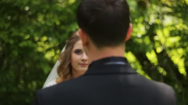 Bride Walks in the Woods, Sunset and Forest (en inglés). Hermosa pareja en un día soleado . — Vídeo de stock