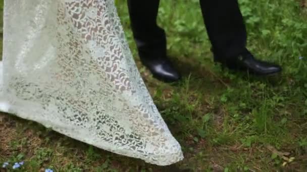 Happy bride and groom go through forest — Stock Video