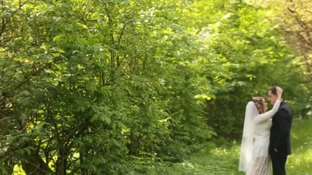 Mariée et marié embrassant sur un fond de forêt — Video