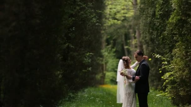 Braut und Bräutigam sind unter Tannen — Stockvideo