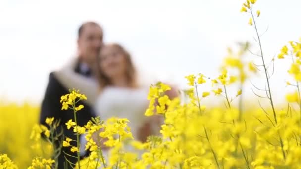 Mari et femme en robe de mariée et costume souriant et debout parmi les fleurs jaunes . — Video