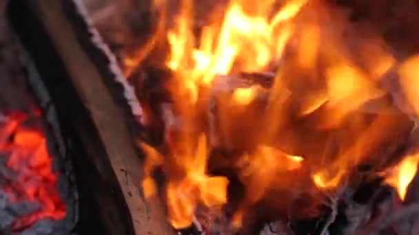 Красиво освітлене полум'я — стокове відео