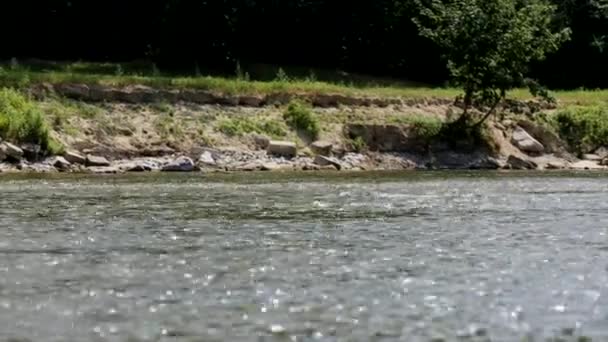 Вода, текущая в реке — стоковое видео