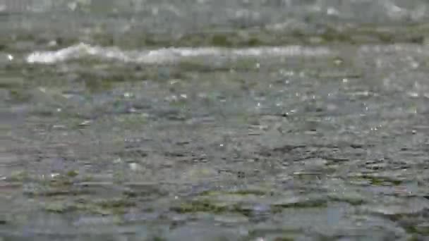 Agua que fluye en el río — Vídeos de Stock