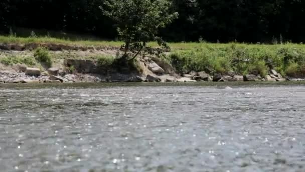 Wasser fließt in den Fluss — Stockvideo