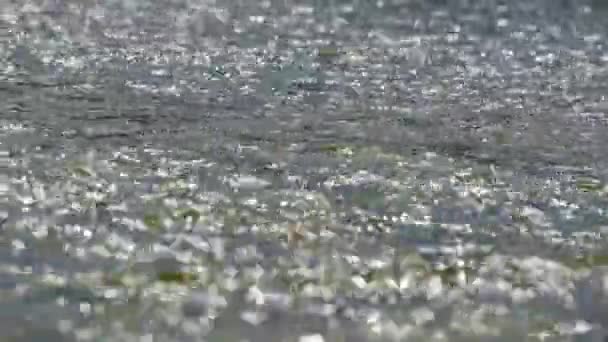 Вода, текущая в реке — стоковое видео