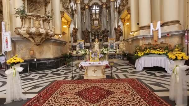 Monasterio dominicano y catedral Lviv — Vídeo de stock