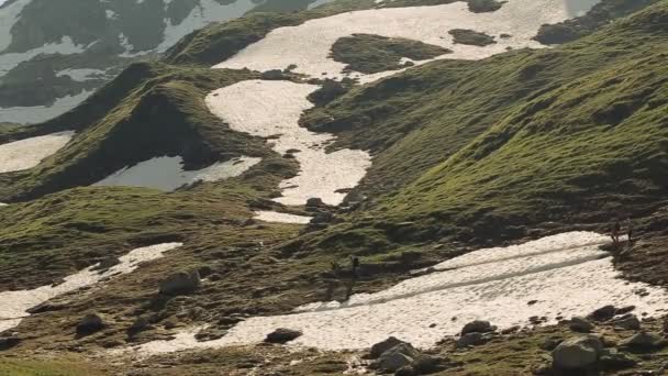 Hermosos Alpes y naturaleza gorda con la gente — Vídeos de Stock
