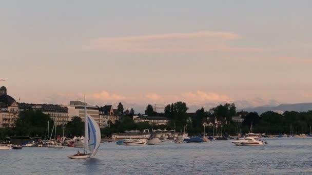 Vacker natur och vatten i Schweiz — Stockvideo