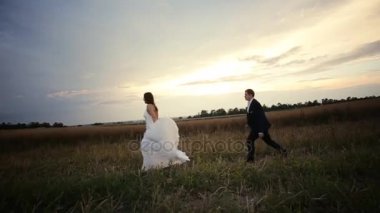 Buğday sahasında çalışan güzel Çift