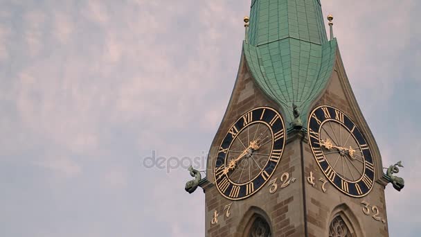 Magnifique pneu d'architecte en Suisse close up — Video