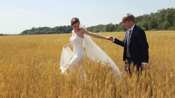 Bruid en bruidegom lopen op het tarweveld — Stockvideo