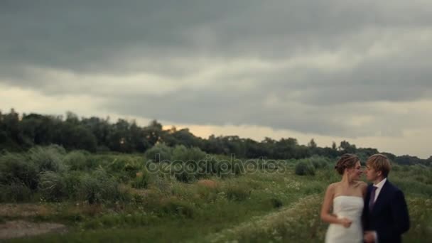 Gelukkig newlyeds op het veld — Stockvideo