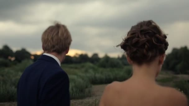 Brudgummen och bruden promenader på fältet — Stockvideo