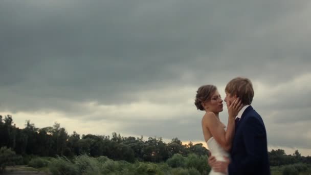Ζευγάρι ευτυχισμένο γάμο στο πεδίο — Αρχείο Βίντεο