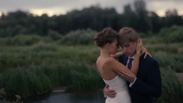 Lyckliga bröllopsparet på fältet — Stockvideo