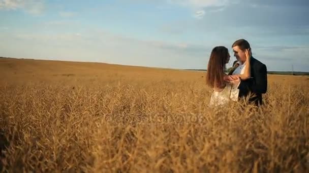 Jong koppel in liefde bruid en bruidegom, dag van de bruiloft in de zomer — Stockvideo