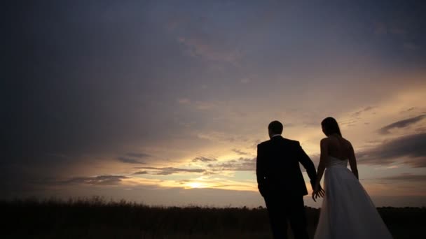 Щаслива наречена і наречена танцюють біля заходу сонця — стокове відео