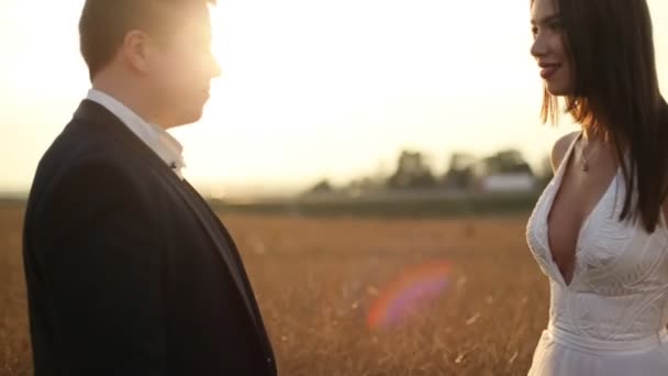 Belle mariée et marié au champ de blé — Video