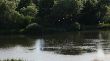 ayna yansıması. martı kuşları. köprü manzara. ağır çekim. Göl nehir su birikintisi.