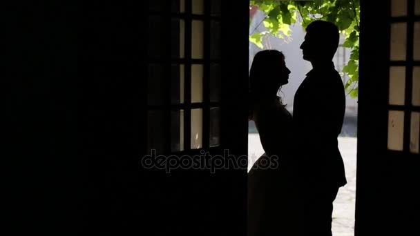 Jeune couple en silhouette devant la porte — Video