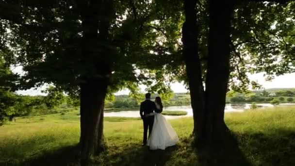 Paret embracing under ett träd på bakgrunden av naturen — Stockvideo