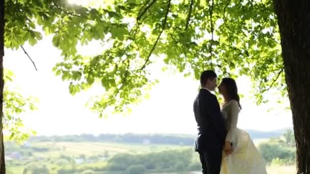 Das Paar umarmt sich unter einem Baum vor dem Hintergrund der Natur — Stockvideo