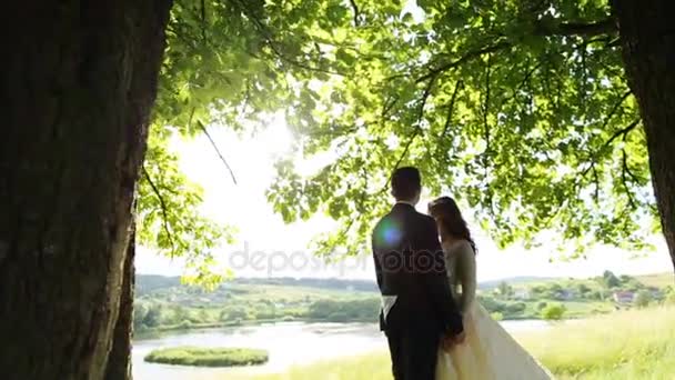 Das Paar umarmt sich unter einem Baum vor dem Hintergrund der Natur — Stockvideo