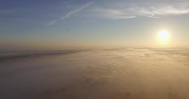 Flygfoto över staden höljd i tjock dimma luftballong på soluppgången. — Stockvideo