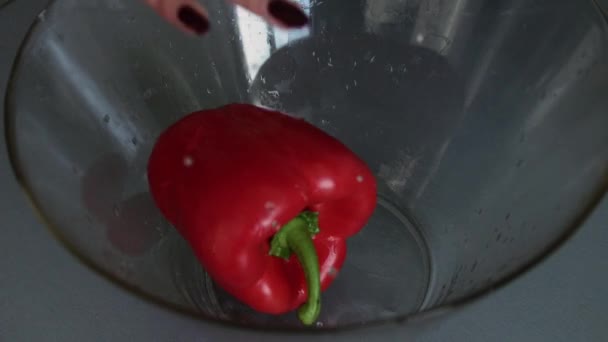 Vista de cerca de la mano poniendo pimienta madura fresca lavada dentro del tazón — Vídeo de stock