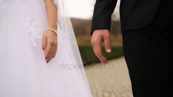 Κοντινό πλάνο ζευγάρι γάμος, κρατώντας τα χέρια, ενώ το περπάτημα στο πάρκο κοντά στο κάστρο — Αρχείο Βίντεο
